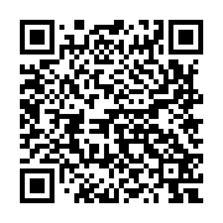 QR code for DYE923