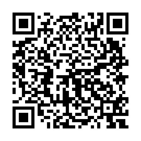QR code for DYI611