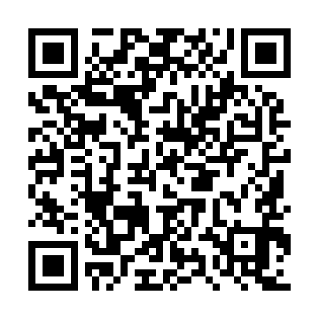 QR code for DYI991