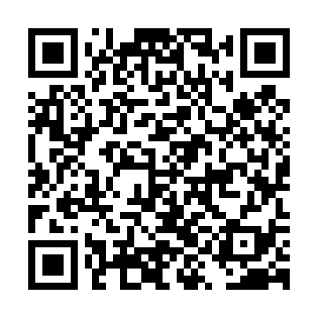 QR code for DYK439