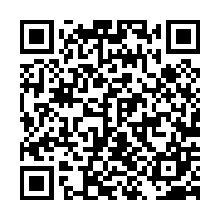 QR code for DYL007