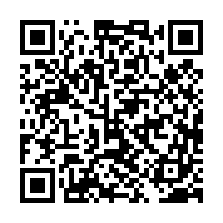 QR code for DYP463