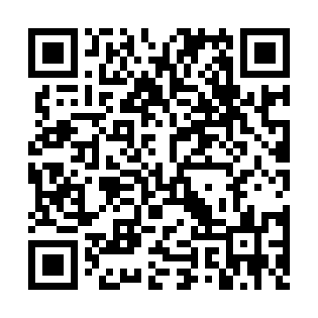 QR code for DYX953