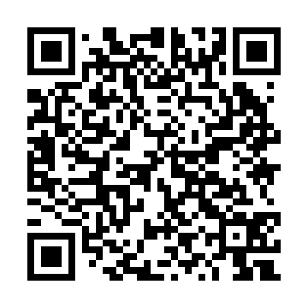 QR code for DYY234