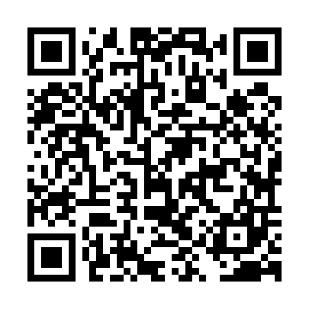 QR code for DYZ507