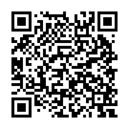 QR code for DZH241