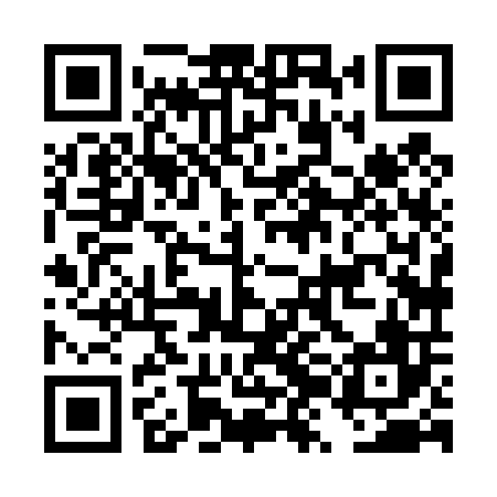 QR code for DZH406