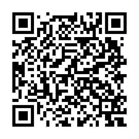QR code for DZI613