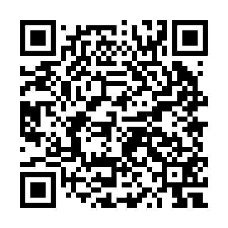 QR code for DZM251