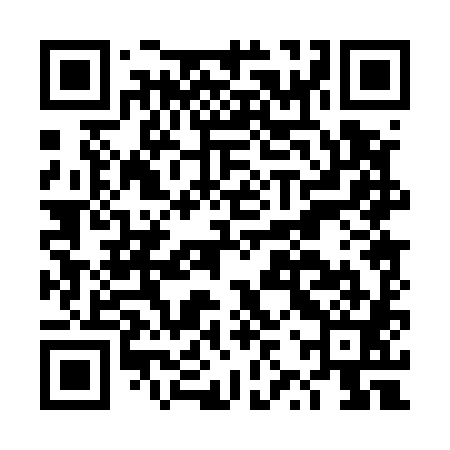QR code for DZP581