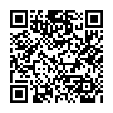QR code for DZW711