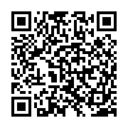 QR code for DZY173