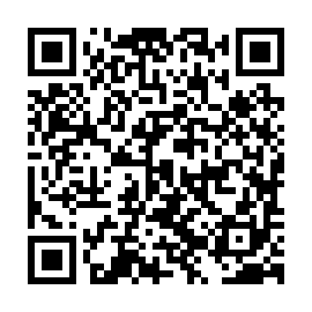 QR code for DZZ290