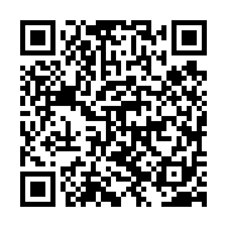 QR code for DZZ611