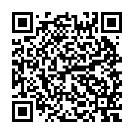 QR code for EEG295