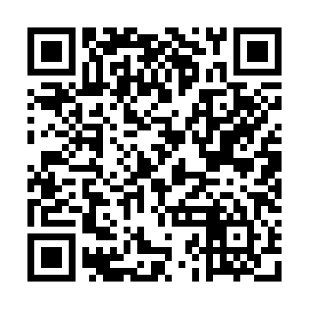 QR code for EJA385