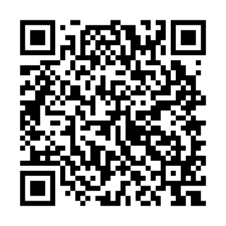 QR code for ELE395