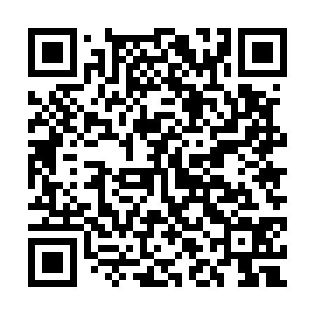 QR code for ELE534