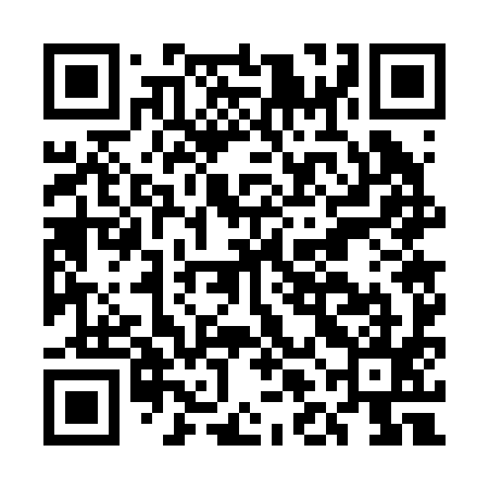 QR code for ELG295