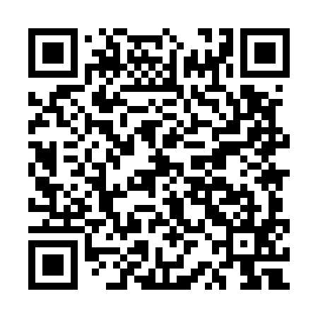 QR code for ERM595