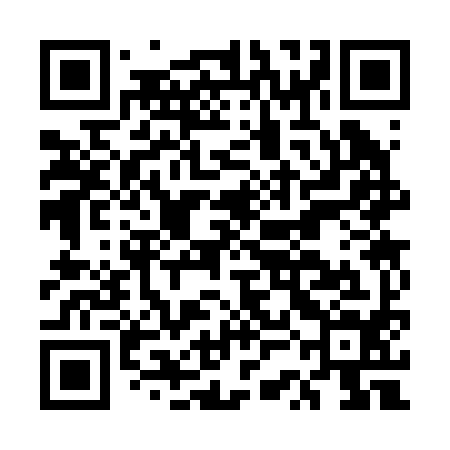 QR code for ESC294