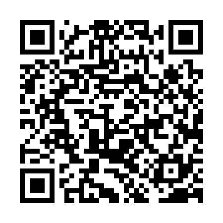 QR code for FAT335