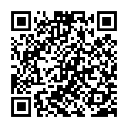 QR code for FEM489