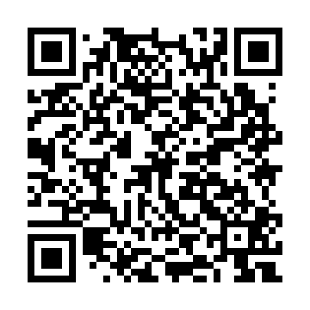 QR code for FII301