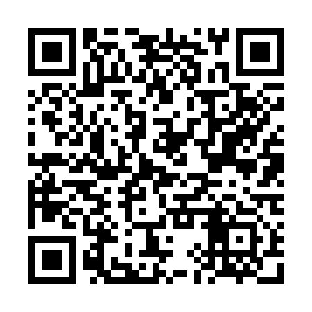 QR code for FIV313