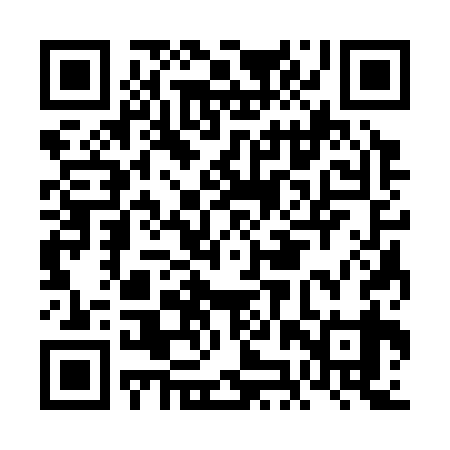 QR code for FJS339