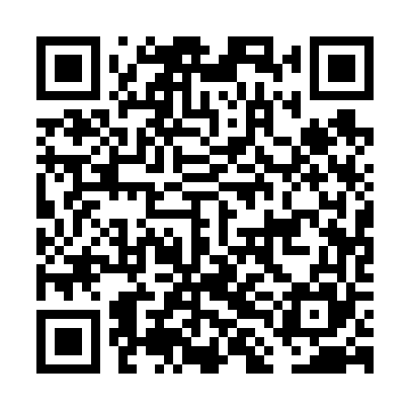QR code for FLA665