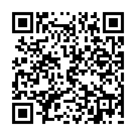 QR code for FLE368