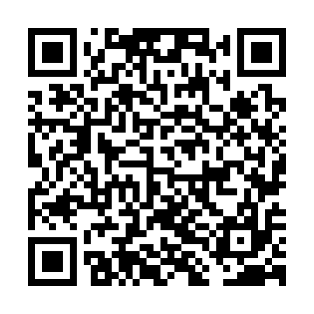 QR code for FLN317