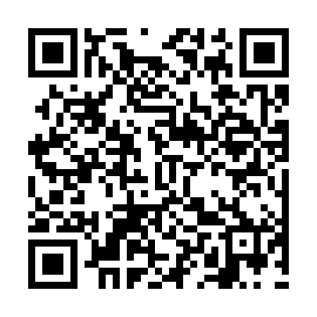 QR code for FLS380