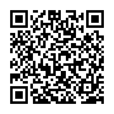 QR code for FMM313