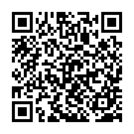 QR code for FMN387