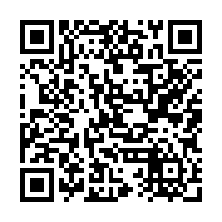 QR code for FRO384