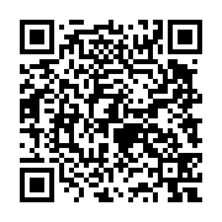 QR code for FST439