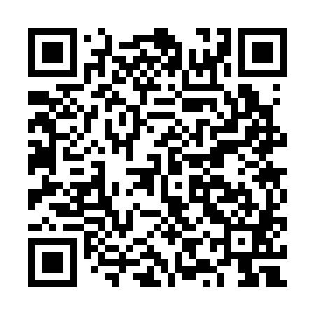QR code for FYS381