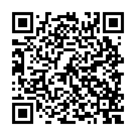 QR code for FYX387