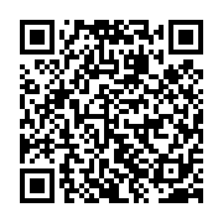 QR code for FZE411