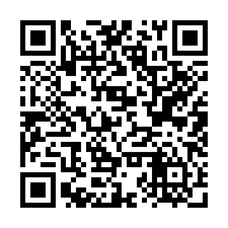 QR code for FZQ384