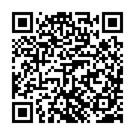 QR code for FZX380