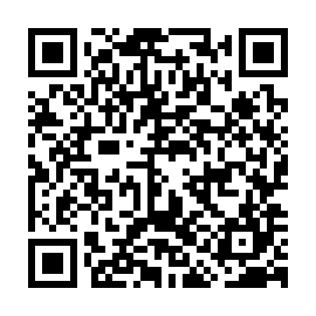 QR code for GAO384