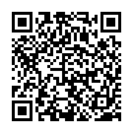 QR code for GAS313