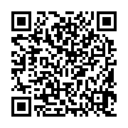 QR code for GBM384