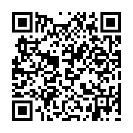 QR code for GCP335