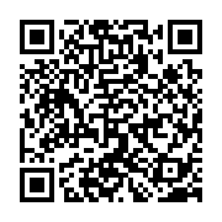 QR code for GDE339