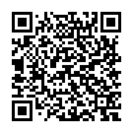 QR code for GDU973