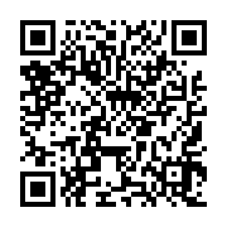 QR code for GJI417